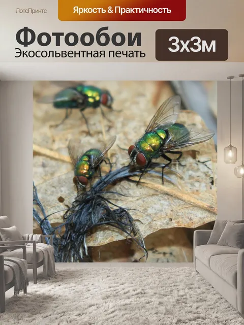 Фотообои Птица