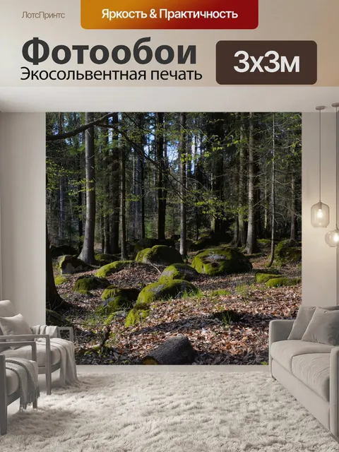 Фотообои Лес