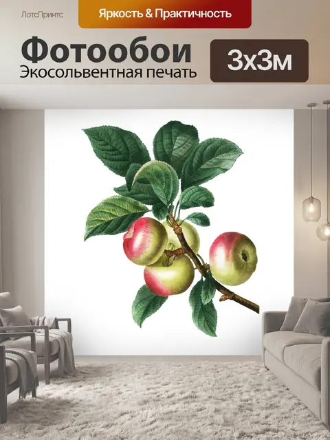 Фотообои Винтажный клипарт фруктовое яблоко