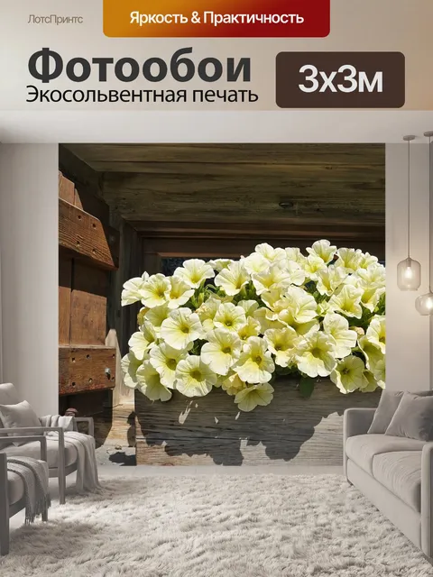 Фотообои Цветы