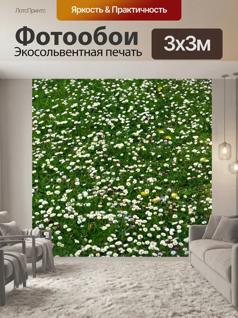 Фотообои Маргаритка