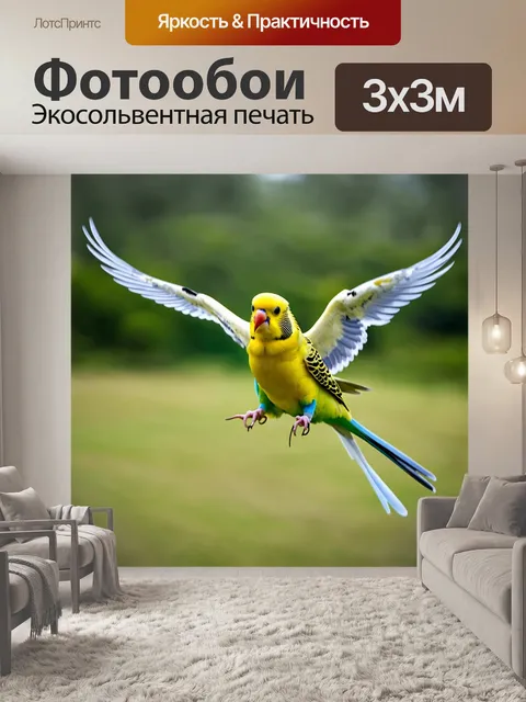 Фотообои динамичный и яркий экшен-снимок волнистого попугайчика, который расправил крылья во время полета