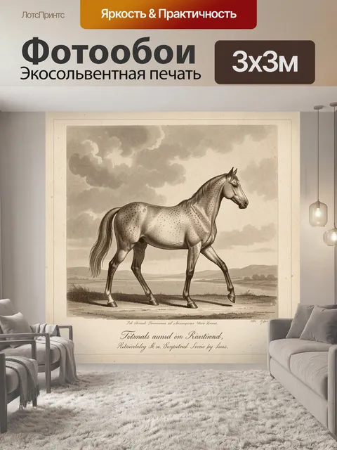 Фотообои Лошадь на фоне облачного неба