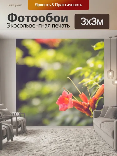 Фотообои Красивый