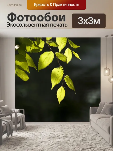 Фотообои Природа