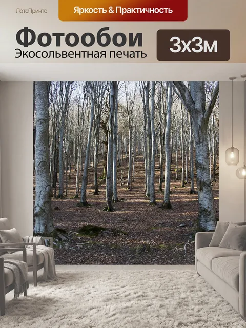Фотообои Лес
