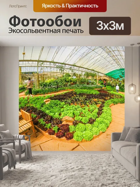 Фотообои Дои Анг Кханг, Чианг Май, Таиланд