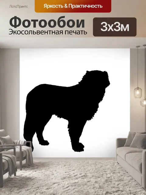 Фотообои Силуэт собаки сенбернара