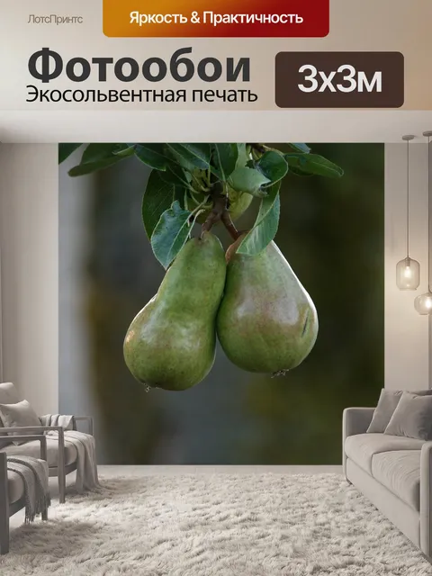 Фотообои Груши