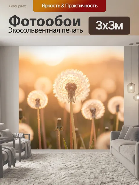 Фотообои Светящиеся одуванчики на закате