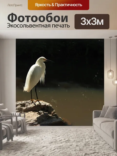 Фотообои Птица