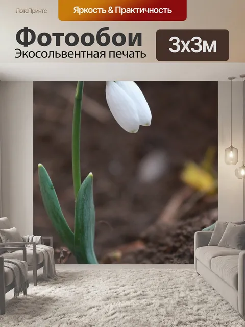 Фотообои Белый