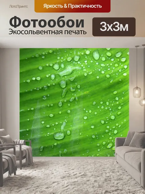 Фотообои Зеленый лист банан