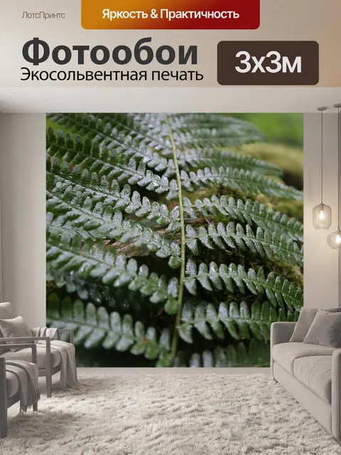 Фотообои Папоротник