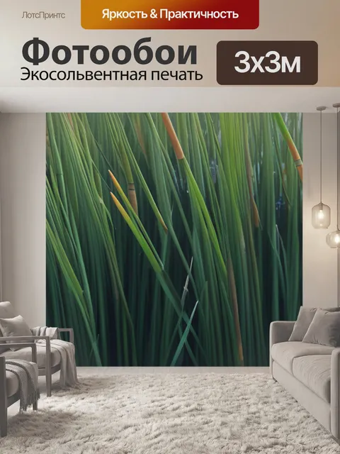Фотообои пейзаж с камышом минимал
