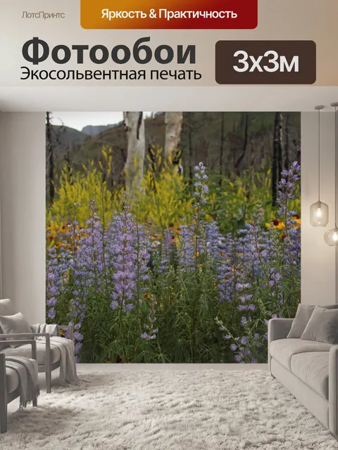 Фотообои Полевые цветы в лесу