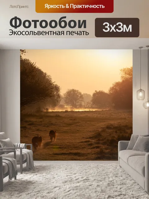 Фотообои Туманный