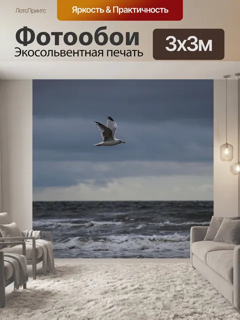 Фотообои Чайка