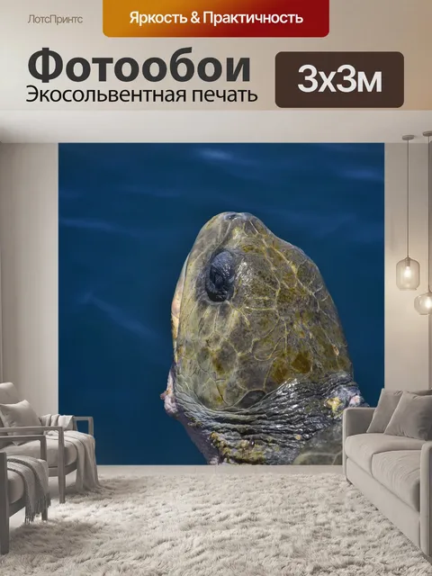 Фотообои Жизнь