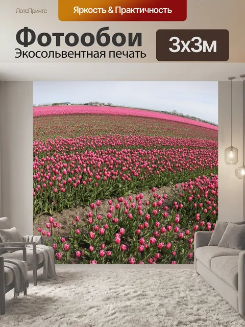 Фотообои Тюльпаны