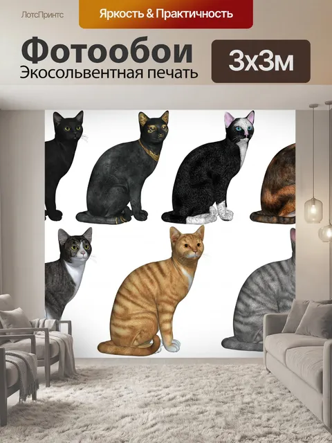 Фотообои 7 кошек в различных Цвета