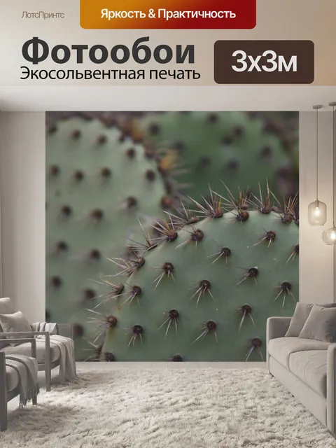 Фотообои Кактус иглы