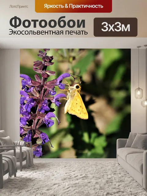 Фотообои Делавэр Шкипер на Фиолетовый Шалфей
