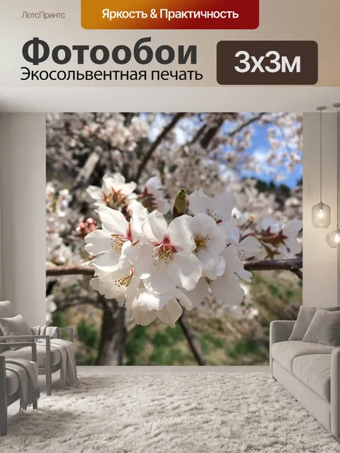 Фотообои Вишня в цвету