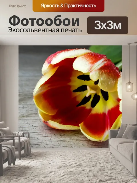 Фотообои Цветок