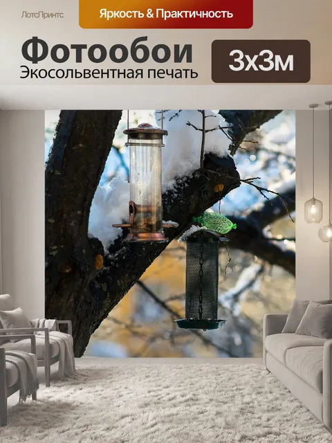 Фотообои Птиц еда