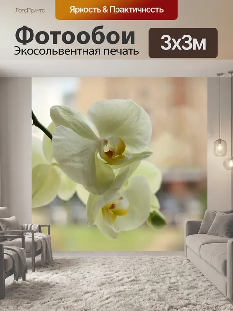 Фотообои Цветы