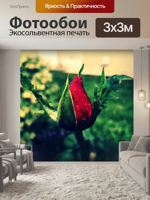 Фотообои Бутон