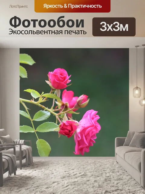 Фотообои Розовые розы