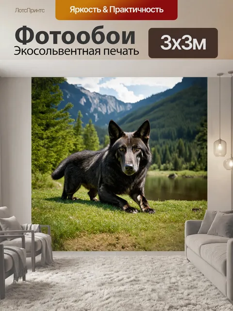 Фотообои в центре живописного пейзажа, покрытого густым лесом, величественно стоит черный волк