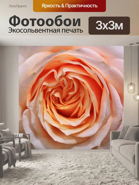 Фотообои Роза