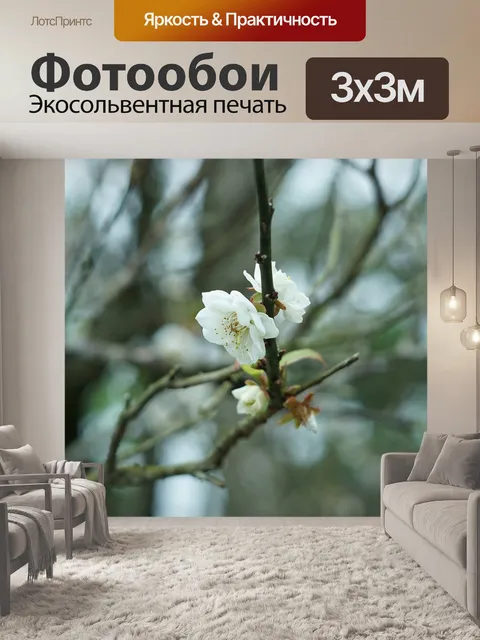 Фотообои Цветок