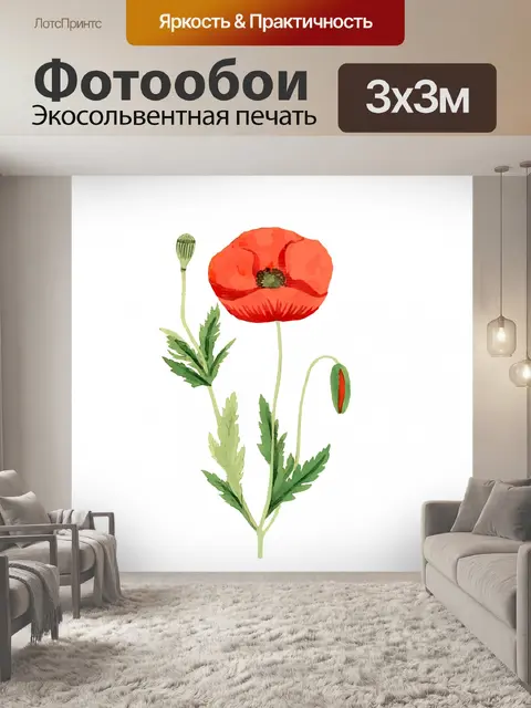 Фотообои Цветок мака Акварельная живопись