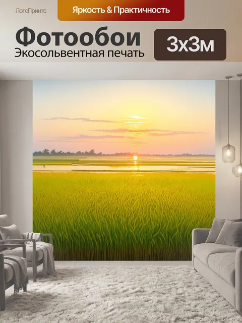 Фотообои поле южного риса, волны которого колышутся на ветру, и теплые закатные оттенки разлетаются по небу