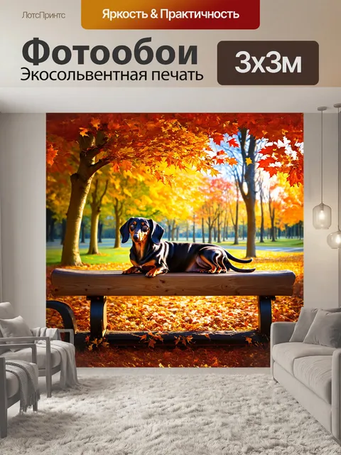 Фотообои такса, лежащая на деревянной скамейке в парке, её черная шерсть блестит на фоне осенних листьев
