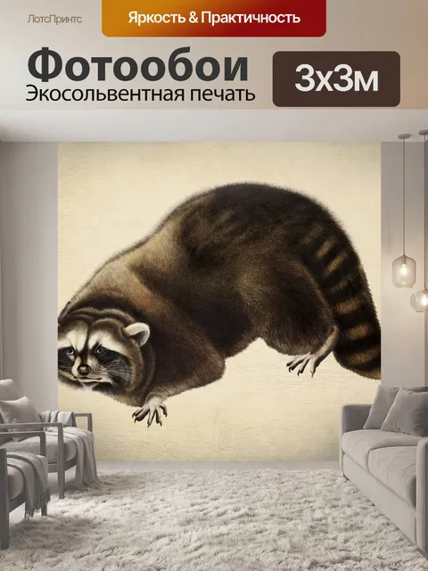 Фотообои Винтажное искусство иллюстрации енота