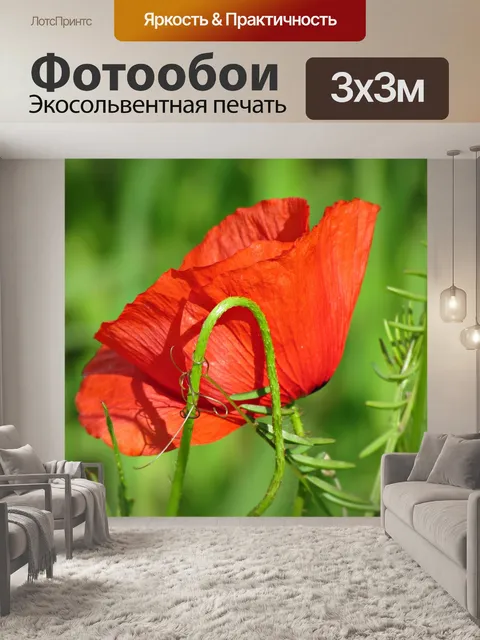 Фотообои Мак
