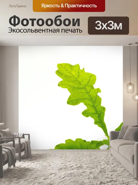 Фотообои Листья