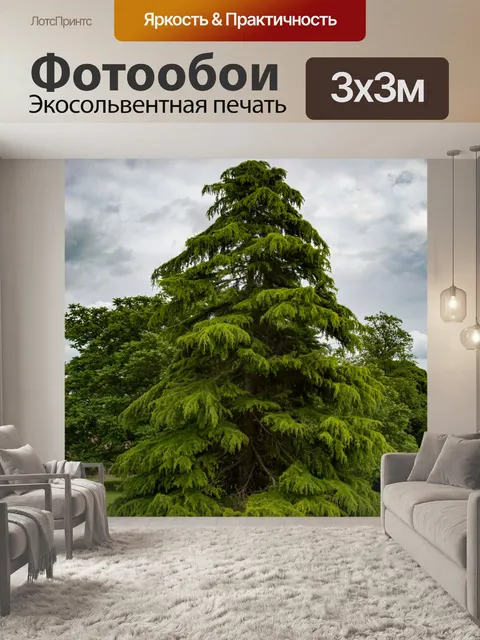Фотообои Только дерево