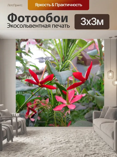 Фотообои темные розовые цветы