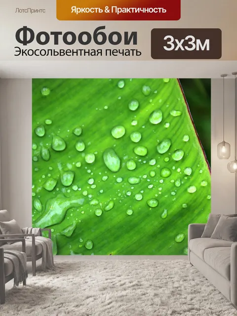 Фотообои Зеленый лист банан