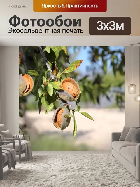 Фотообои Миндаль