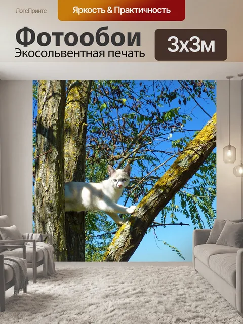 Фотообои Кошка