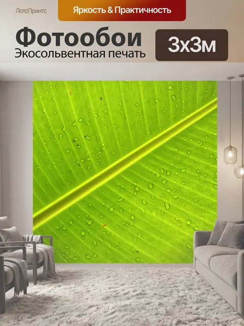 Фотообои Зеленый лист банан