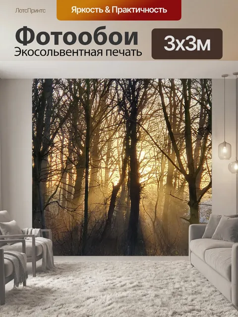 Фотообои Лес