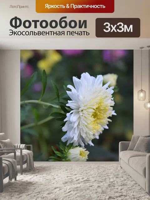 Фотообои Цветы